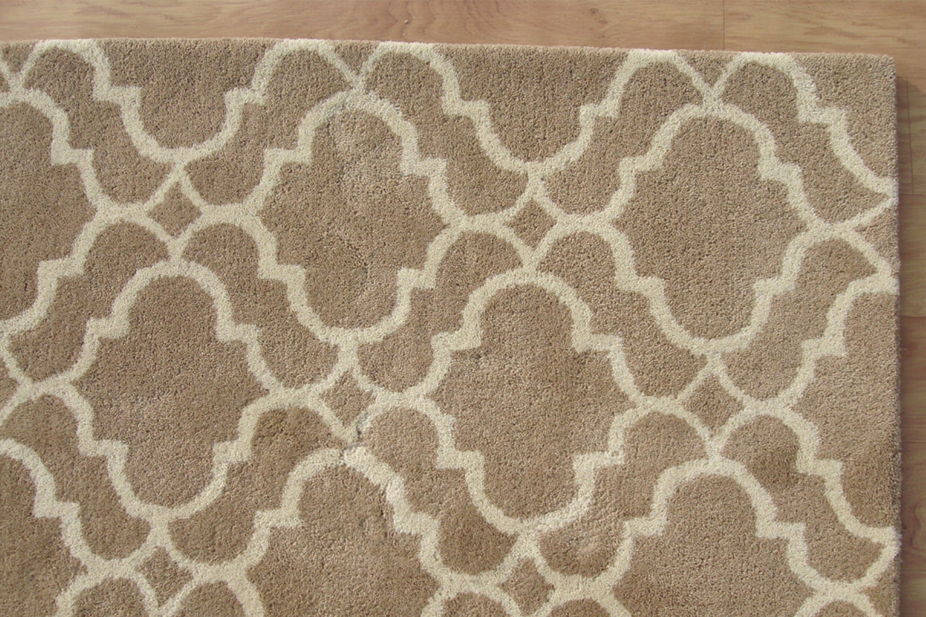 rug USA, area Rugs, bedroom rugs, living room rugs | Beyond rugs